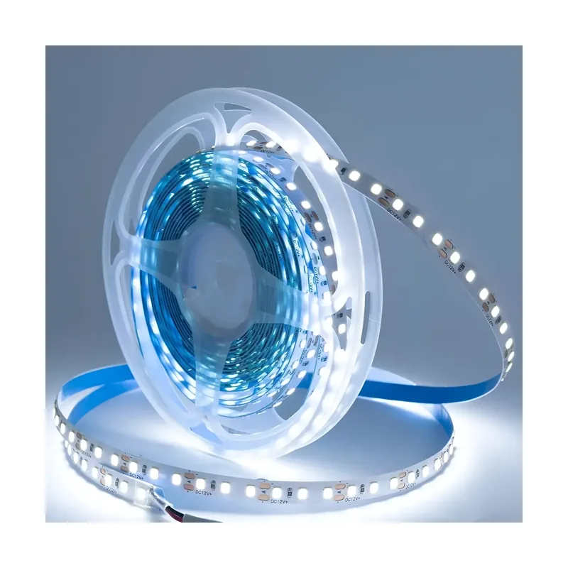 Fita de LED 12W 6500K 120 Leds 5M Blumenau