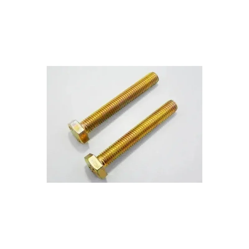 Parafuso Sextavado S-10 60 mm